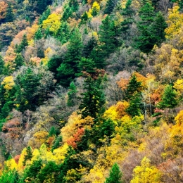 《有翡》取景地曝光 没想到你是这样的川西