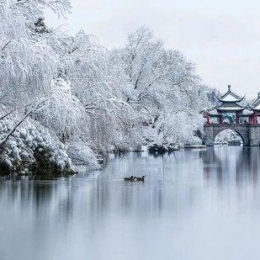 年末旅行去哪里？“江南”一直是白月般的存在