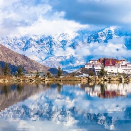 西藏承包了整个春季的浪漫 有空快去看看