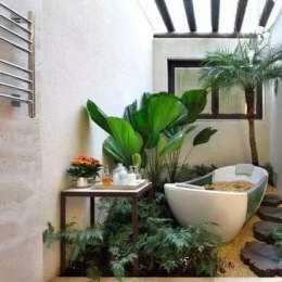 把卫生间变成花园 置身绿色的世界